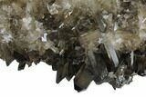 Tall, Free-Standing Smoky Quartz Cluster - Brazil #137843-3